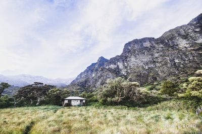 Palikū
