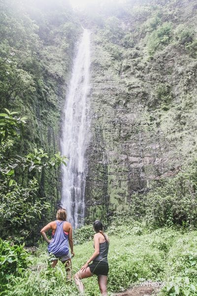 Discovering Waimoku