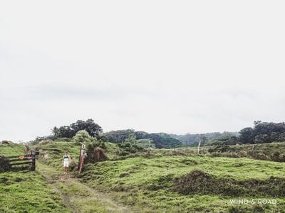 Hiking in the Jungle